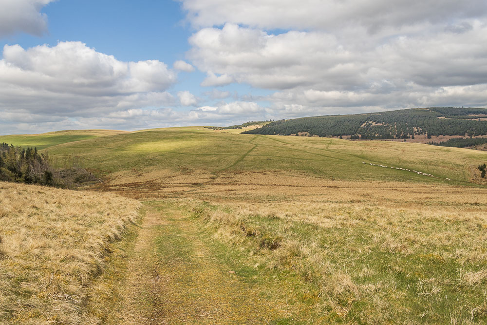 Uplaw Knowe